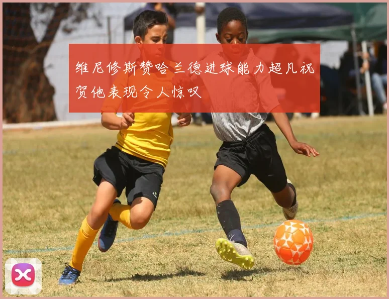 维尼修斯赞哈兰德进球能力超凡祝贺他表现令人惊叹