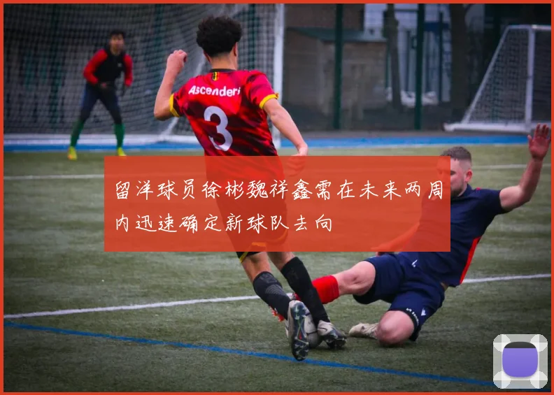 留洋球员徐彬魏祥鑫需在未来两周内迅速确定新球队去向
